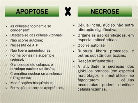diferença entre apoptose e necrose